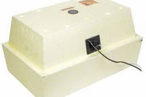 Золушка 28 яиц №1 220В мех переворот